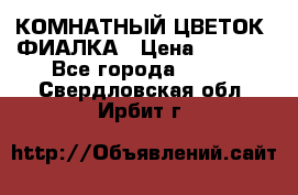 КОМНАТНЫЙ ЦВЕТОК -ФИАЛКА › Цена ­ 1 500 - Все города  »    . Свердловская обл.,Ирбит г.